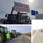 Tractorada agricultores y ganaderos