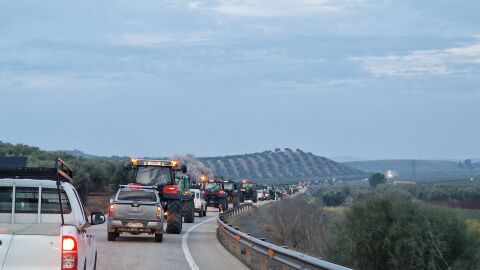 Marcha de los agricultores