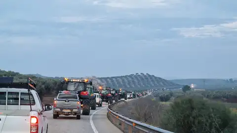 Marcha de los agricultores Marcha de los agricultores