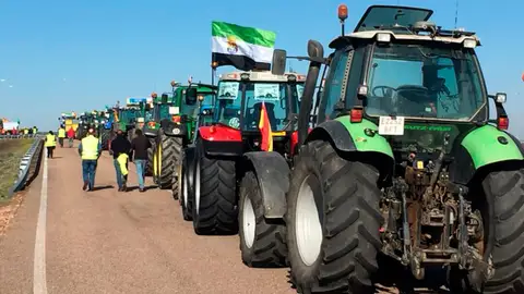 Los Agricultores extremeños cortan diversas vías en Extremadura, entre ellas la A66 a la altura de Almendralejo Los Agricultores extremeños cortan diversas vías en Extremadura, entre ellas la A66 a la altura de Almendralejo