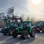 Tractorada en León 06/02/2024 Tractorada en León 06/02/2024