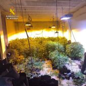 La Guardia Civil desmantela una plantación de marihuana en Altea