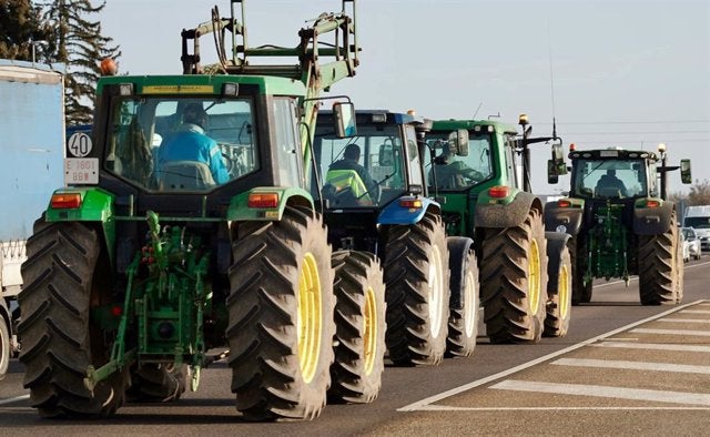 Agricultores y ganaderos de la Vega Baja se movilizan y salen a la calle contra la competencia desleal Agricultores y ganaderos de la Vega Baja se movilizan y salen a la calle contra la competencia desleal