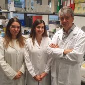 Investigadores de la Universidad de Extremadura identifican un nuevo gen implicado en la reparación del daño en el ADN
