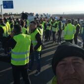 Manifestantes hoy en la A7 a la altura de l'Alcudia