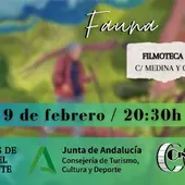 Solidaria Solidaria