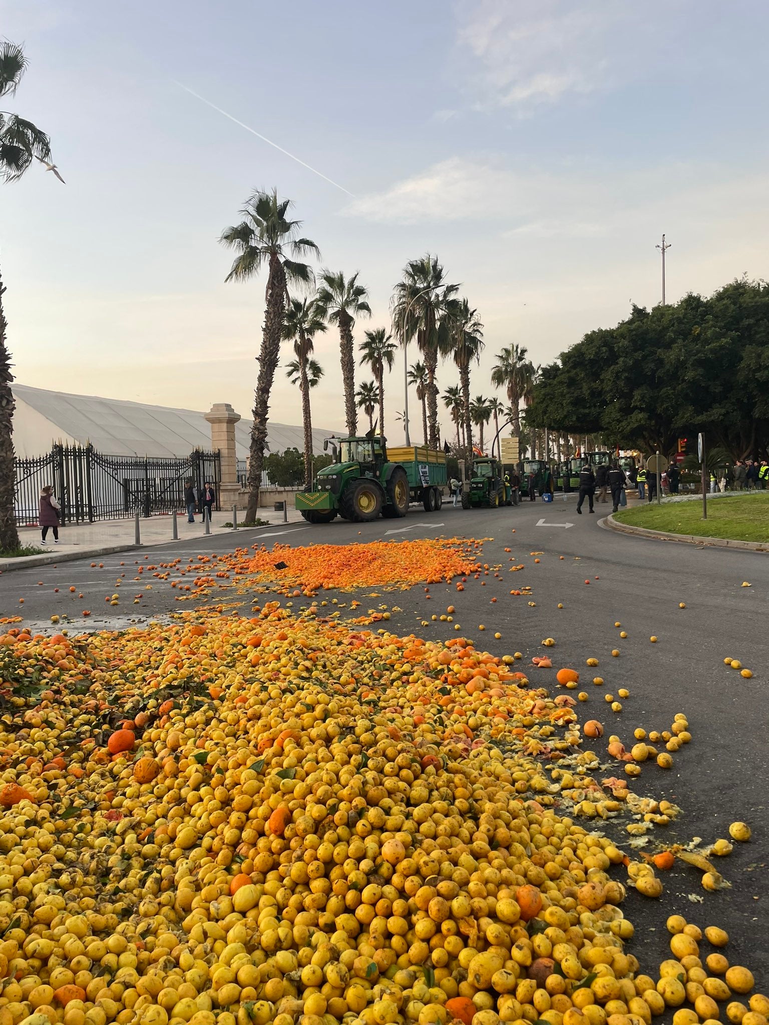 La tractorada de Málaga se da por finalizada La tractorada de Málaga se da por finalizada