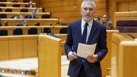 El ministro del Interior, Fernando Grande-Marlaska, durante una sesión plenaria en el Senado, a 7 de febrero de 2024, en Madrid (España). 