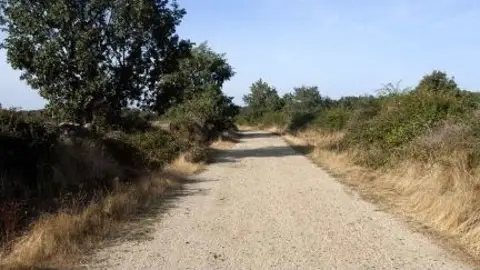 caminos libres caminos libres