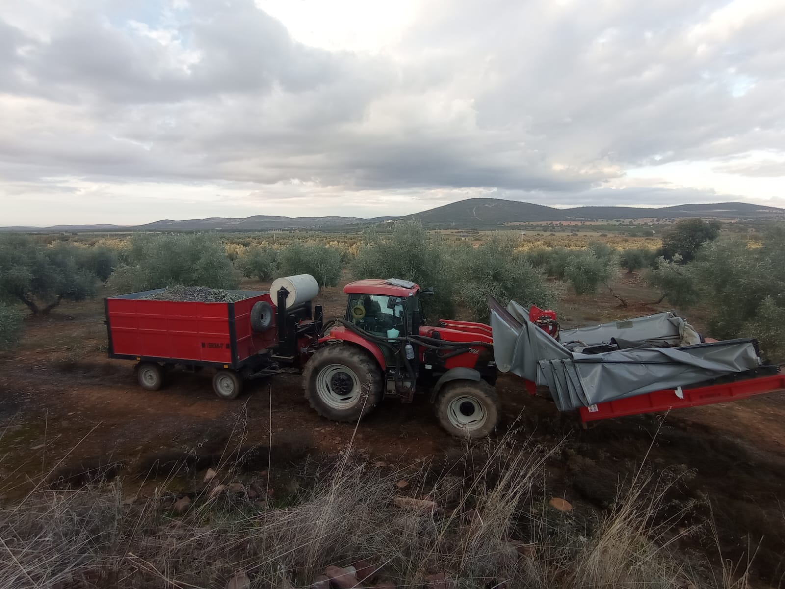 Noviembre deja 95 parados menos en la provincia de Ciudad Real, gracias sobre todo a la agricultura Noviembre deja 95 parados menos en la provincia de Ciudad Real, gracias sobre todo a la agricultura