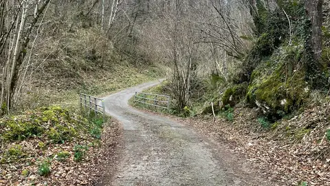 Fomento inicia la obra para mejorar el acceso a Vibuli, en la reserva de la biosfera de Ponga Fomento inicia la obra para mejorar el acceso a Vibuli, en la reserva de la biosfera de Ponga