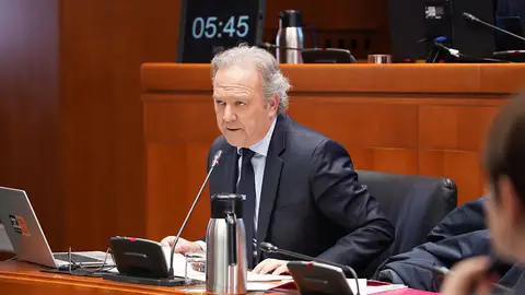 El director general, durante la Comisión parlamentaria El director general, durante la Comisión parlamentaria