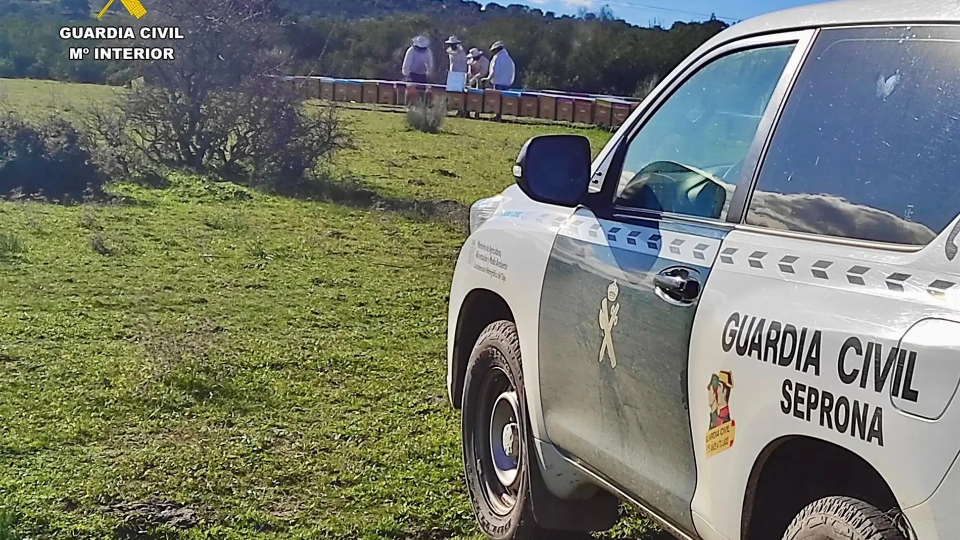 Investigado un hombre tras el robo de 107 colmenas en tres asentamientos apícolas de Las Hurdes