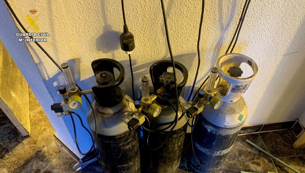 Bombonas de dióxido de carbono para acelerar el crecimiento de las plantas