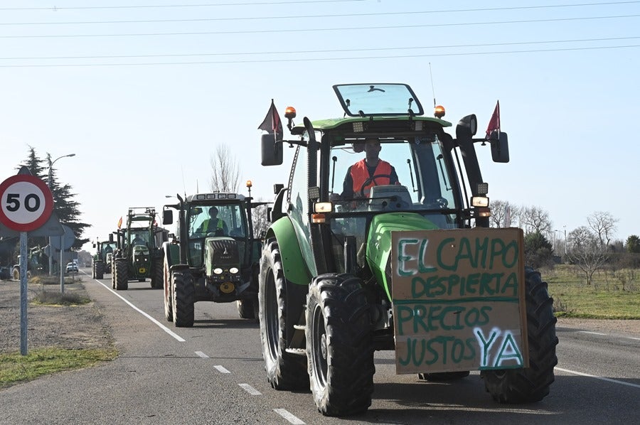 Tras el parón del domingo los agricultores retoman este lunes las protestas y los cortes de carreteras en Extremadura Tras el parón del domingo los agricultores retoman este lunes las protestas y los cortes de carreteras en Extremadura