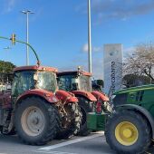  Nuevas protestas de los agricultores con concentraciones en Mercabarna y el puerto de Tarragona