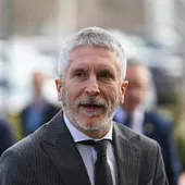 El ministro del Interior, Fernando Grande-Marlaska. El ministro del Interior, Fernando Grande-Marlaska.