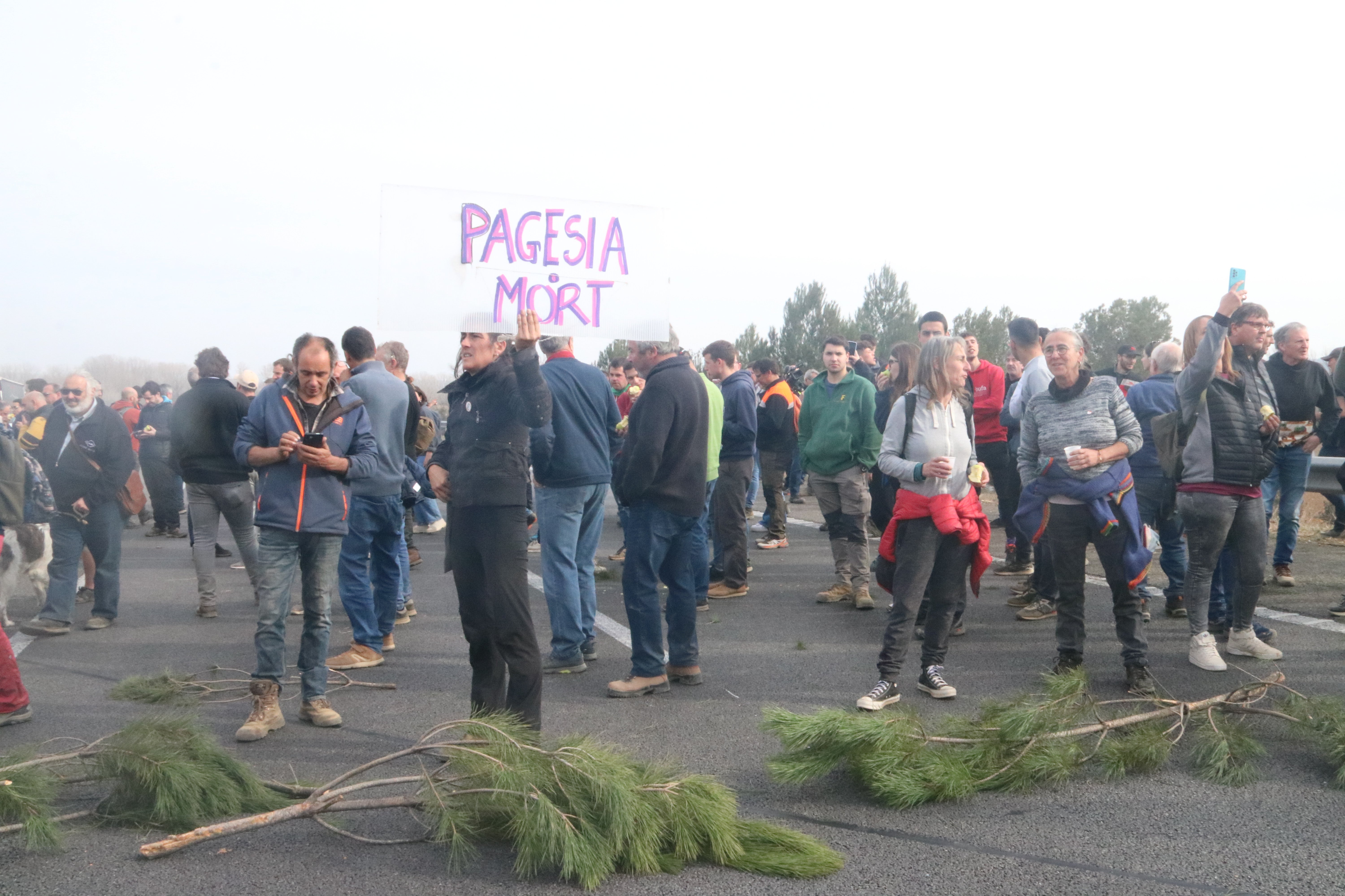 Les mobilitzacions agràries i ramaderes demanen solucions a l'administració però també el suport dels consumidors Les mobilitzacions agràries i ramaderes demanen solucions a l'administració però també el suport dels consumidors