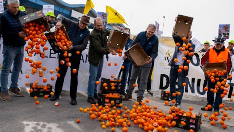 Representantes de las principales organizaciones agrarias vuelcan cajones de naranjas durante su primera protesta conjunta en la Comunitat Valenciana, una tractorada en el Puerto de Castelló.