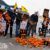 Representantes de las principales organizaciones agrarias vuelcan cajones de naranjas durante su primera protesta conjunta en la Comunitat Valenciana, una tractorada en el Puerto de Castelló.