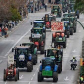 Unos 170 tractores de toda Mallorca participan en una tractorada que recorre este lunes las calles de Palma