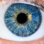 Un ojo de color azul 