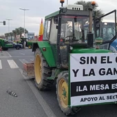 Mobilizacións agrarias conxuntas en 8 vilas e cidades galegas Mobilizacións agrarias conxuntas en 8 vilas e cidades galegas