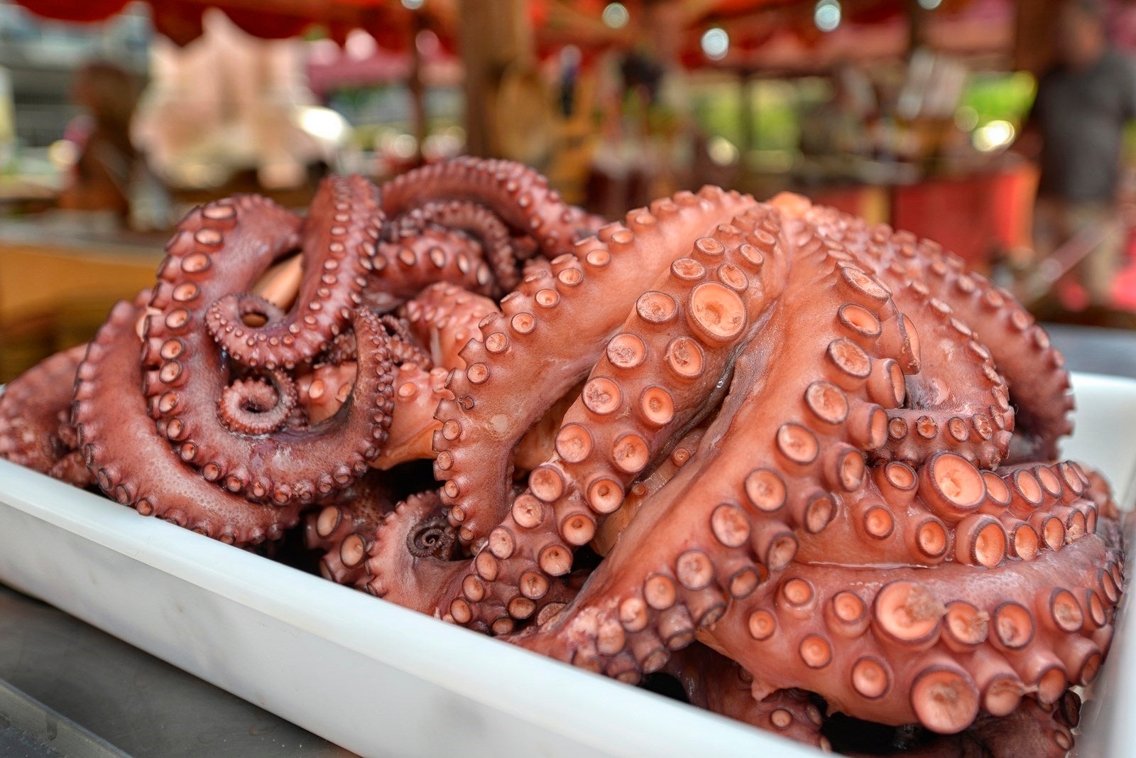 ¿Porqué se come pulpo en San Froilán? ¿Porqué se come pulpo en San Froilán?