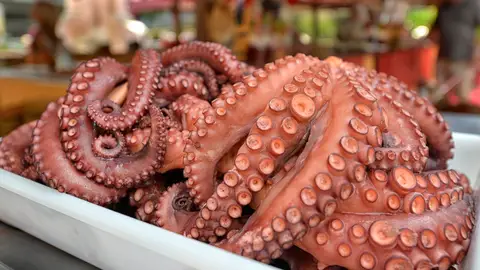 Imagen de archivo de pulpo. Imagen de archivo de pulpo.