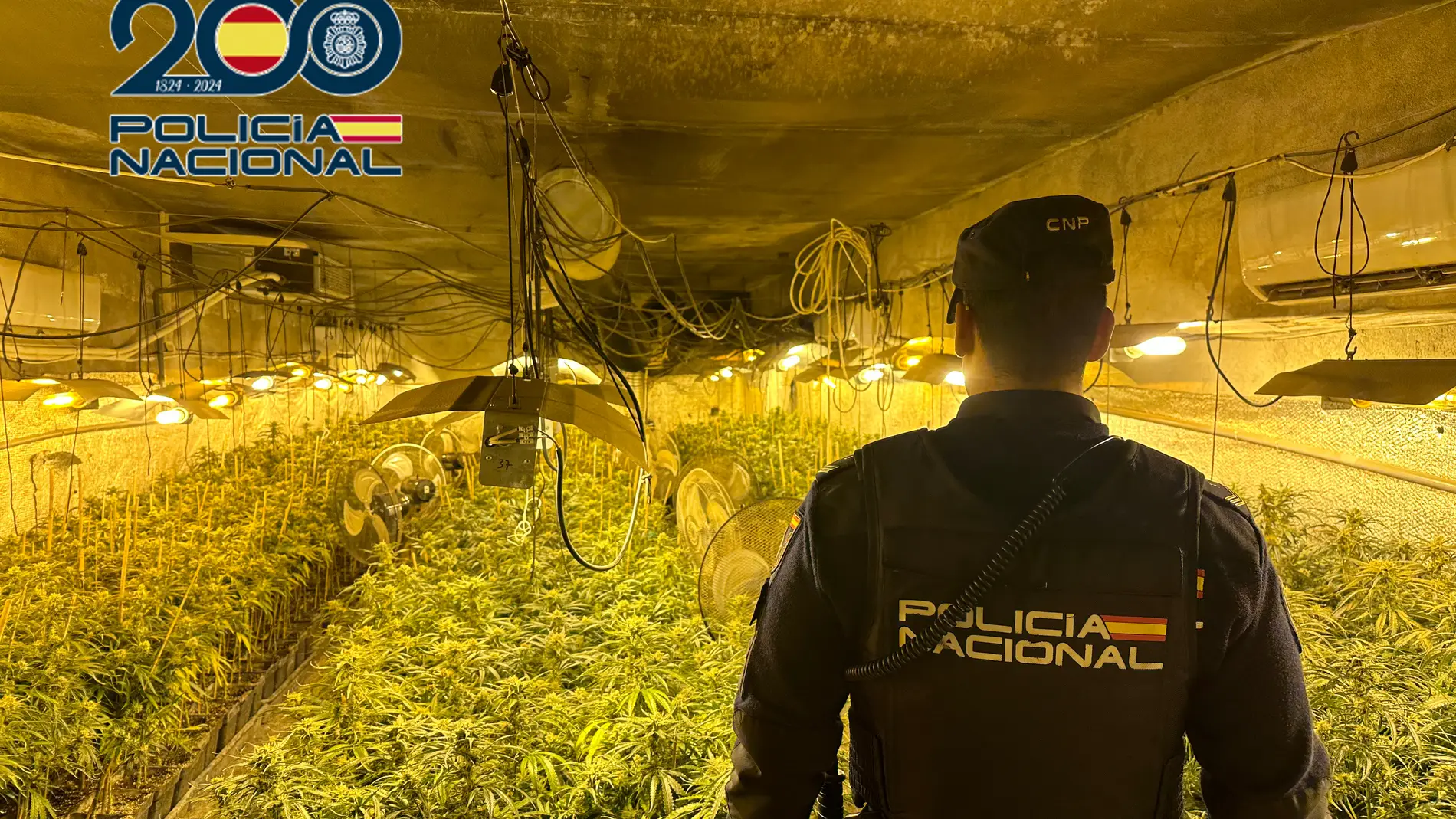 Desmantelan un centro de cultivo de marihuana en Sonseca