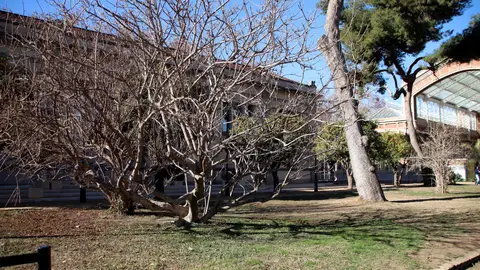 El sector del bricolatge, ferreteria i jardineria creen una plataforma en resposta a les restriccions per sequera El sector del bricolatge, ferreteria i jardineria creen una plataforma en resposta a les restriccions per sequera