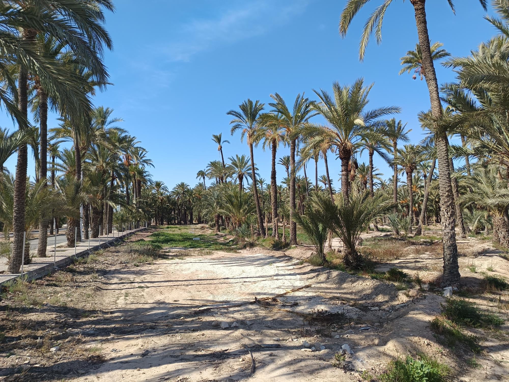 Las lluvias quedan atrás: Elche, Crevillent y Santa Pola recuperan la estabilidad meteorológica Las lluvias quedan atrás: Elche, Crevillent y Santa Pola recuperan la estabilidad meteorológica