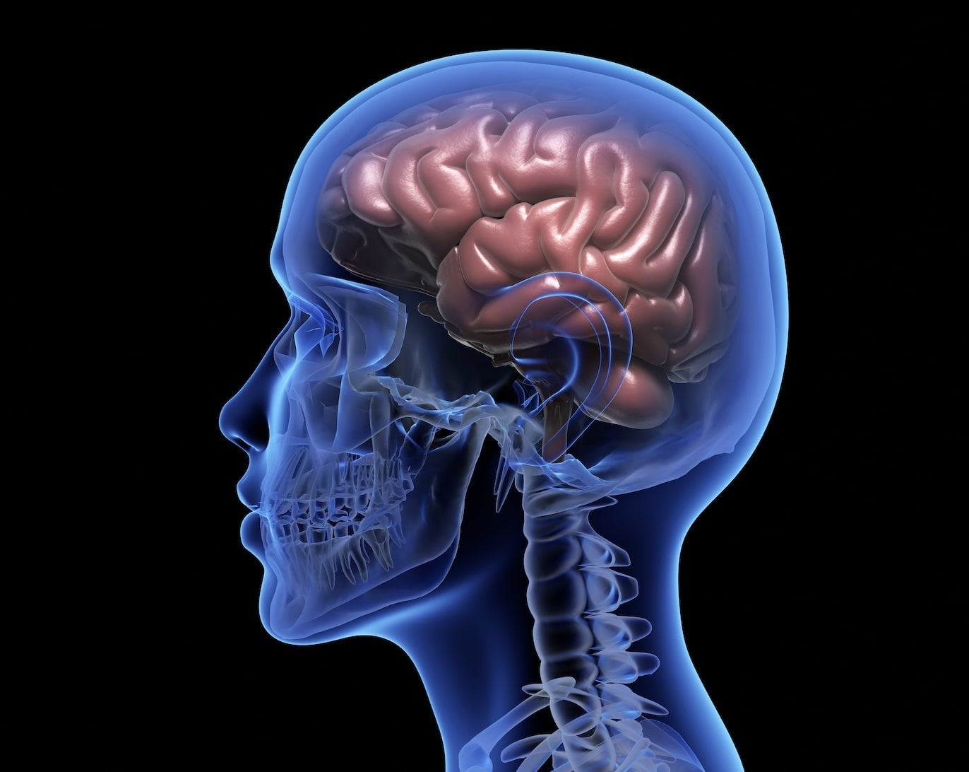 Nuevo hito en la sanidad madrileña: un ensayo pionero contra epilepsias resistentes a fármacos Nuevo hito en la sanidad madrileña: un ensayo pionero contra epilepsias resistentes a fármacos