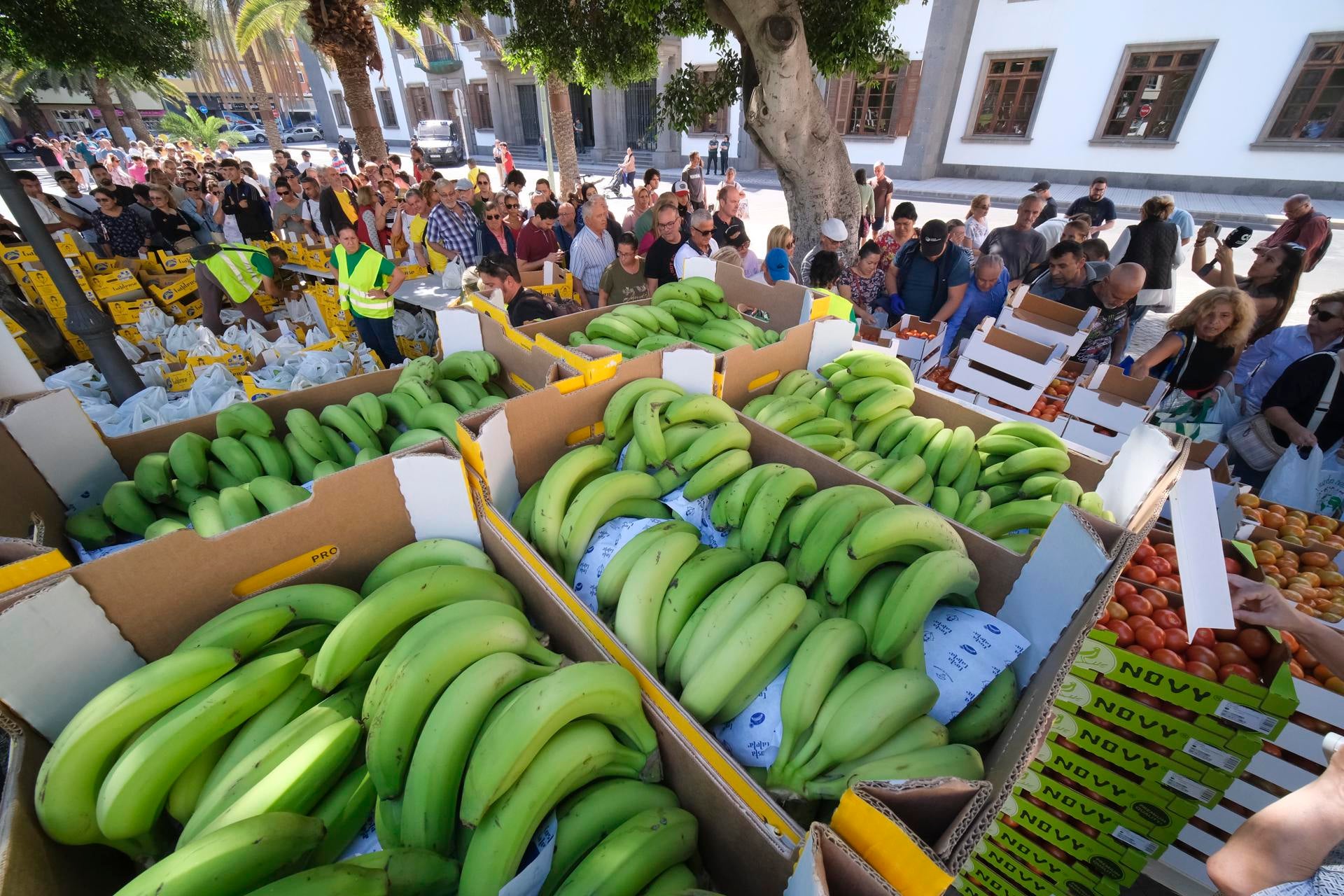 Pablo Ojeda: "Optar por productos de temporada implica, en la mayoría de casos, un apoyo directo a los agricultores" Pablo Ojeda: "Optar por productos de temporada implica, en la mayoría de casos, un apoyo directo a los agricultores"