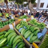 Los agricultores reparten a los ciudadanos plátanos, tomates y otras hortalizas y frutas al termino de la tractorada