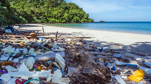 Basura marina en la costa vasca 