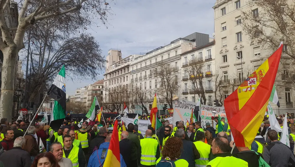 Manifestación de agricultores y ganaderos en Madrid