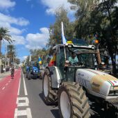 Agricultores protagonizan una tractorada en Las Palmas de Gran Canaria