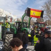 Manifestación agricultores y ganaderos en Madrid