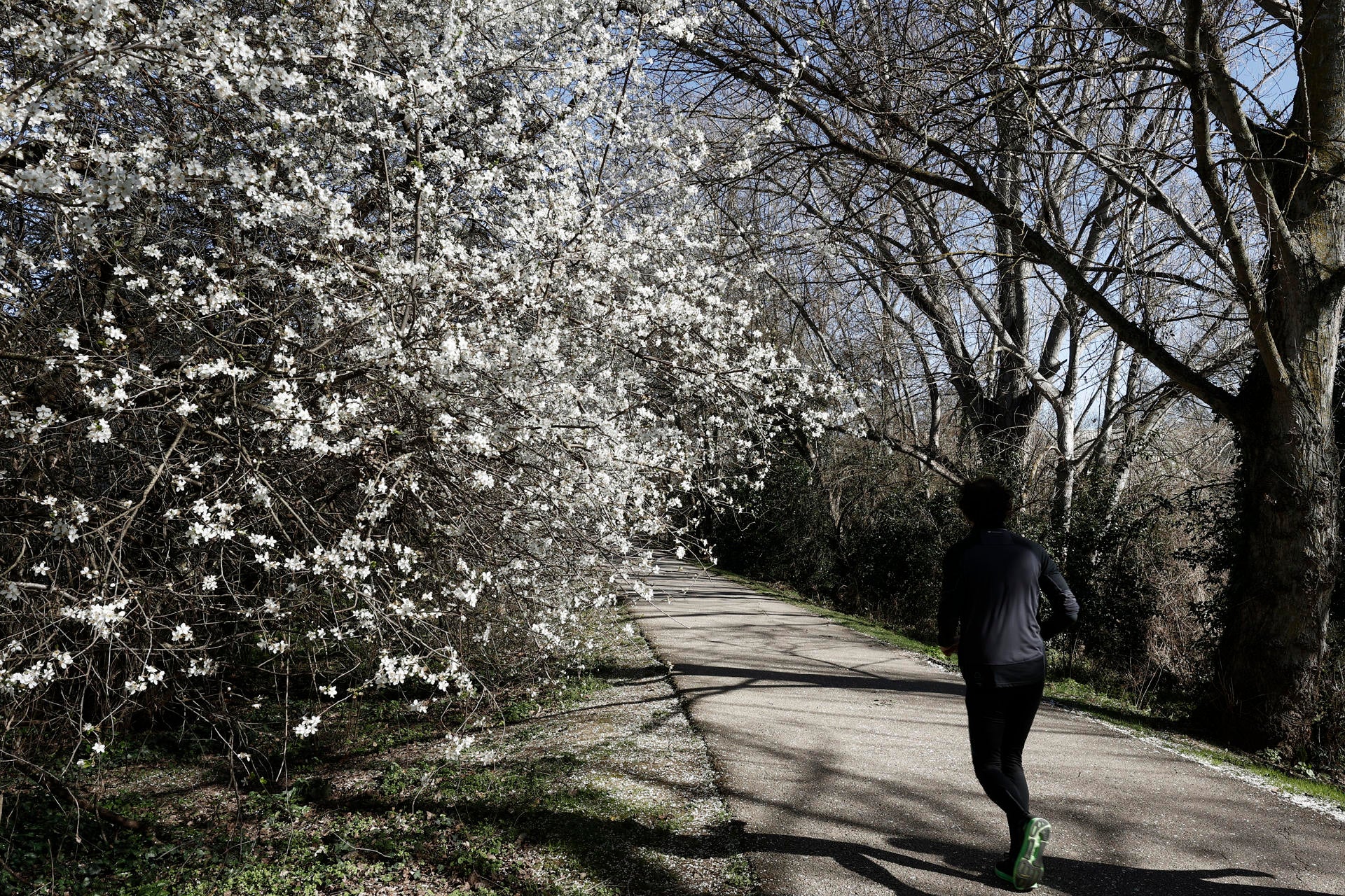 El aviso de la AEMET para este jueves: frío, lluvia y nieve El aviso de la AEMET para este jueves: frío, lluvia y nieve
