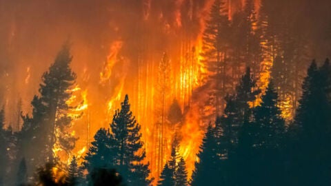 Debemos prepararnos para convivir con los incendios