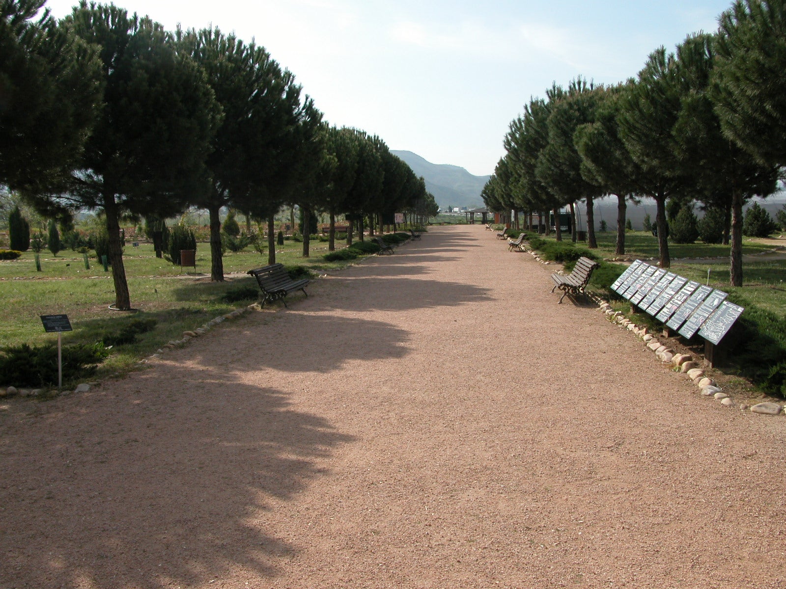 El Real Jardín Botánico Juan Carlos I presenta su programación de actividades gratuitas para el mes de marzo El Real Jardín Botánico Juan Carlos I presenta su programación de actividades gratuitas para el mes de marzo