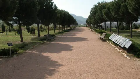 El Real Jardín Botánico Juan Carlos I presenta su programación de actividades gratuitas para el mes de marzo Real Jardín Botánico Juan Carlos I de la Universidad de Alcalá