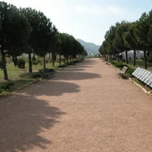 El Real Jardín Botánico Juan Carlos I presenta su programación de actividades gratuitas para el mes de marzo El Real Jardín Botánico Juan Carlos I presenta su programación de actividades gratuitas para el mes de marzo