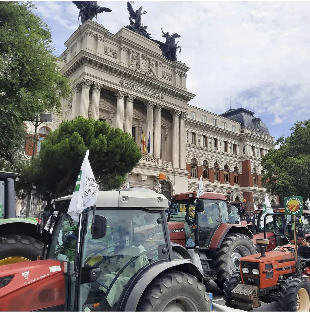 150 agricultores y ganaderos segovianos se manifiestan en Madrid 150 agricultores y ganaderos segovianos se manifiestan en Madrid