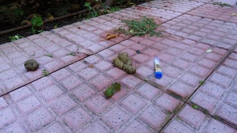Recogida de muestra de heces abandonada en una v&iacute;a p&uacute;blica de Alcal&aacute; de Henares