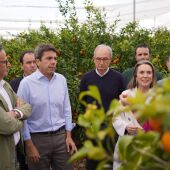 Mazón y Gamarra con agricultores en Tous