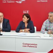 El PSOE pide a la Junta medidas urgentes para minimizar el impacto negativo de los topillos en los campos palentinos