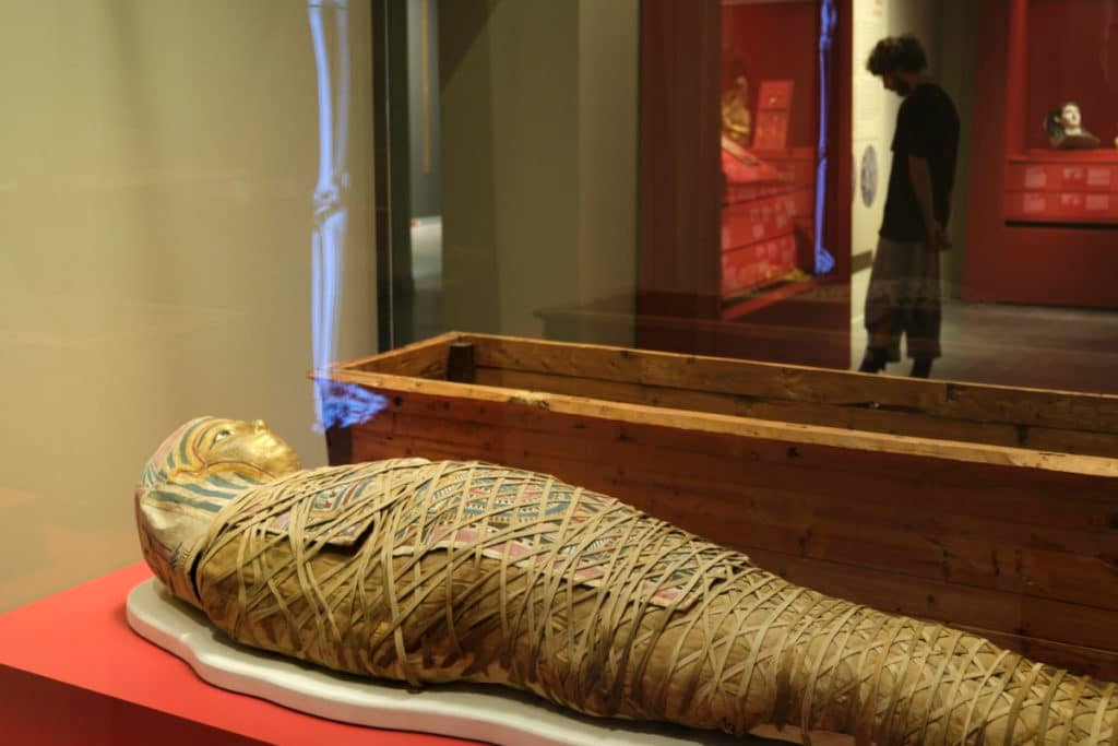 Seis momias egipcias reposan hasta junio en Caixaforum Zaragoza Seis momias egipcias reposan hasta junio en Caixaforum Zaragoza