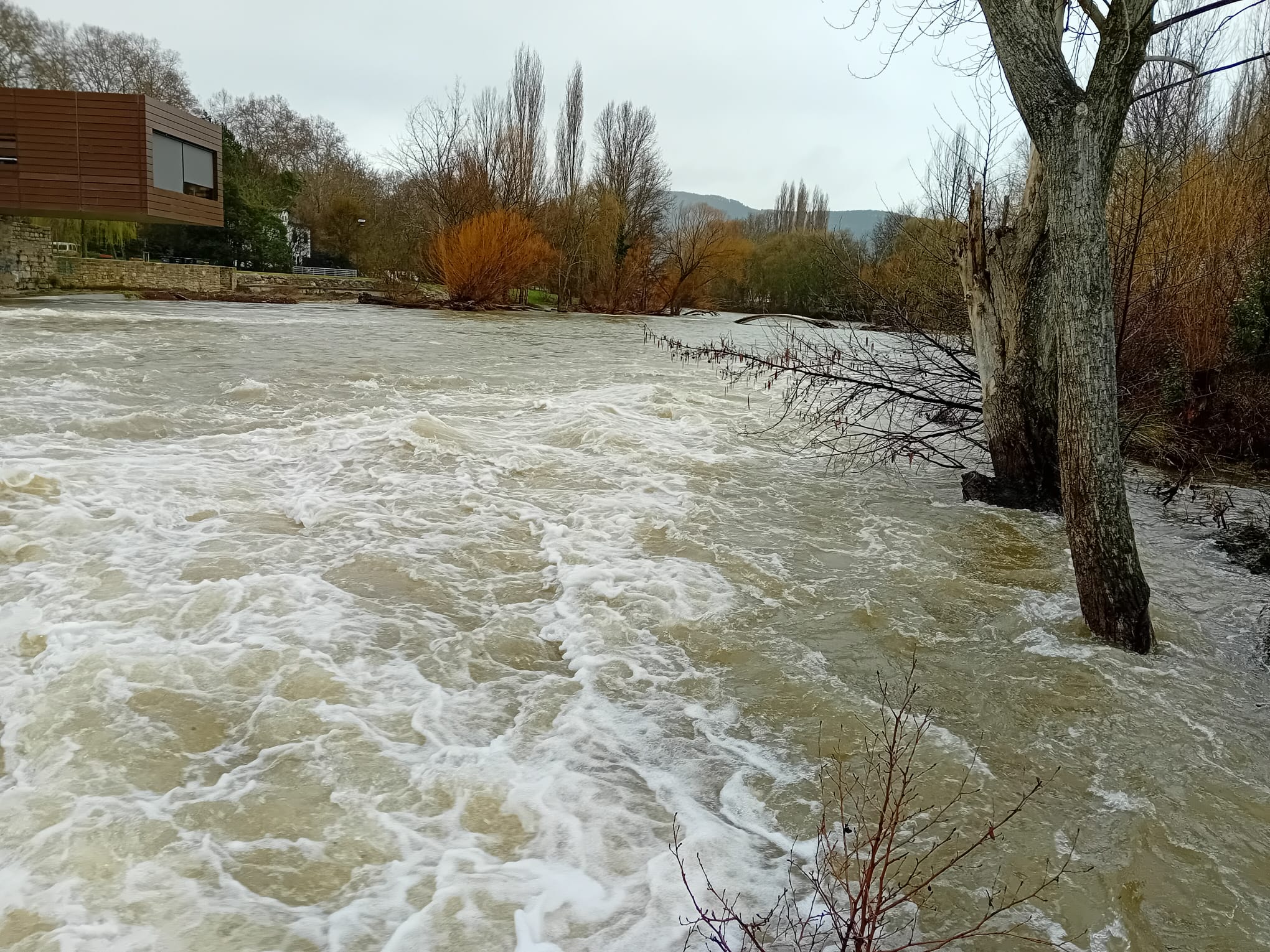 Navarra activa el nivel 1 del Plan de Inundaciones pero no prevé "riesgo para la población" Navarra activa el nivel 1 del Plan de Inundaciones pero no prevé "riesgo para la población"
